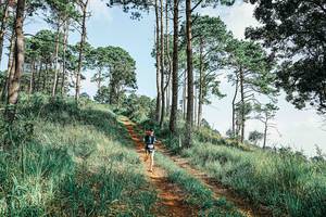 BIB: 
                            <button type="button" onclick="openModal(25676928)" class="btn btn-primary btn-sm float-right btn-popup" data-toggle="modal" data-target=".modal-high-quality">
                        <i class="fas fa-shopping-cart"></i> Add to Cart
                    </button>
                                            <button type="button" onclick="isThisMe(25676928, true)" class="btn btn-success btn-sm float-right btn-popup btn-isme hidden" data-toggle="tooltip" data-placement="bottom" title="นี่คือรูปของคุณใช่ไหม คลิกที่นี่เพื่อเอาเข้าอัลบั้ม">
                        <i class="fas fa-plus"></i> Add to album
                    </button>
                    <button type="button" onclick="isThisMe(25676928, false)" class="btn btn-warning btn-sm float-right btn-popup btn-isnotme hidden">
                        <i class="fas fa-ban"></i> Remove from album
                    </button>